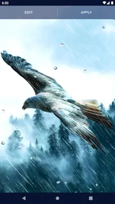 Eagle Live Wallpaper android App screenshot 3